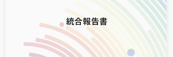 総合報告書
